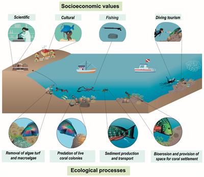An Inverted Management Strategy for the Fishery of Endangered Marine Species